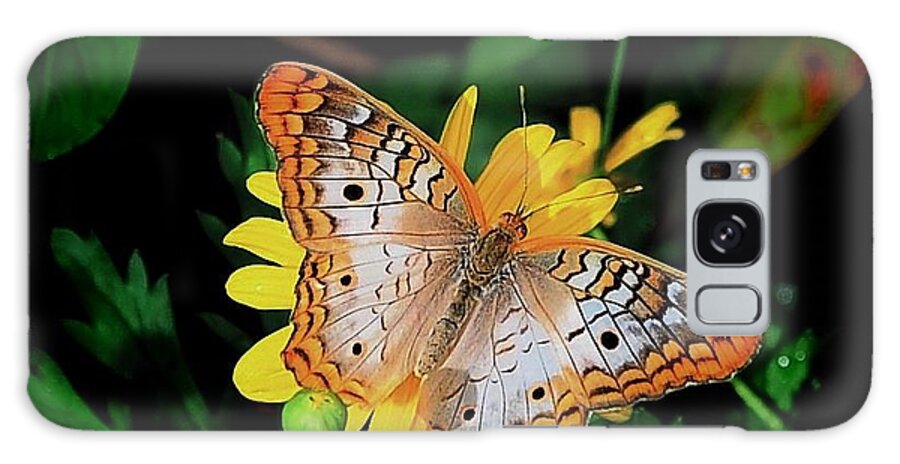 Butterfly Galaxy Case featuring the photograph Butterfly by Buddy Morrison