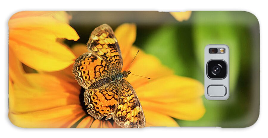 Butterfly Galaxy S8 Case featuring the photograph Orange Crescent Butterfly by Christina Rollo