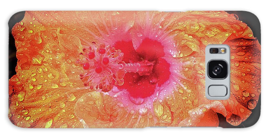 Flower Galaxy Case featuring the photograph Orange Hibiscus by Barry Bohn