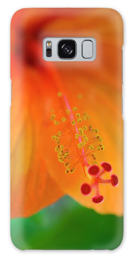 Hibiscus Galaxy Case featuring the photograph Orange Hibiscus by Christopher Johnson