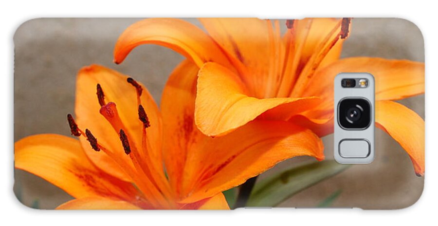 Flower Galaxy Case featuring the photograph Orange Lilies 2 by Amy Fose