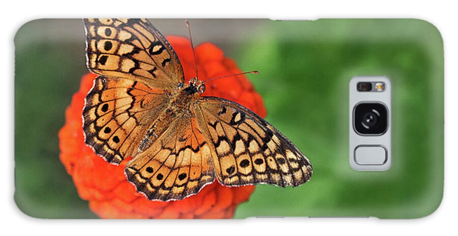 Butterfly Galaxy Case featuring the photograph Orange Orange Green by Art Cole