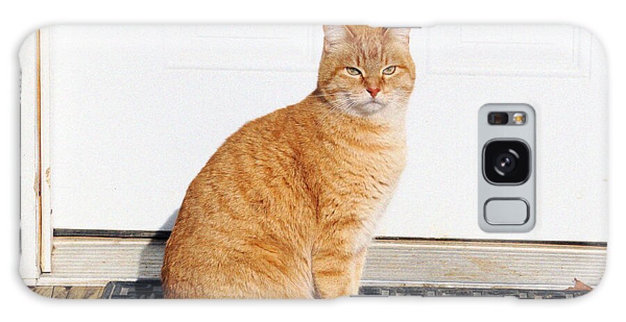 Proud Cat Galaxy S8 Case featuring the digital art Orange Tabby Cat by Jana Russon