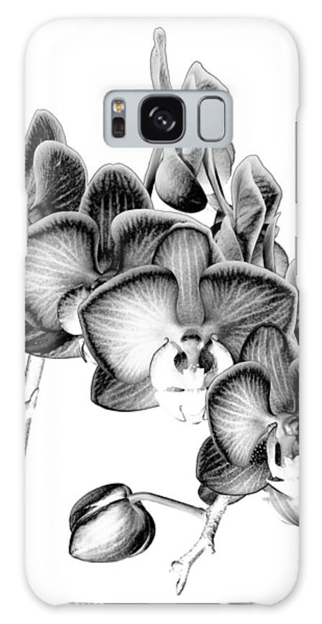 Glen Echo 2015 Galaxy Case featuring the photograph Orchid Etchings by Georgette Grossman