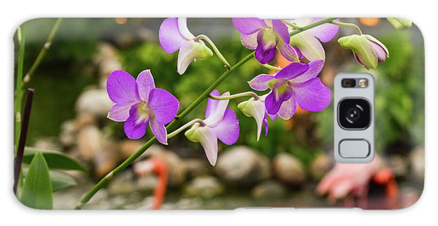 Orchid Galaxy Case featuring the photograph Orchids in Paradise by Nicole Lloyd