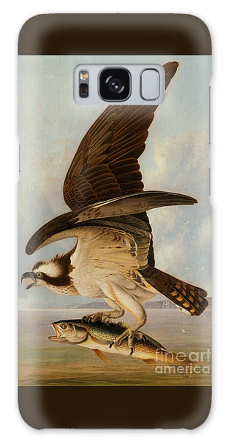Osprey And Weakfish Galaxy Case featuring the painting Osprey and Weakfish by John James Audubon