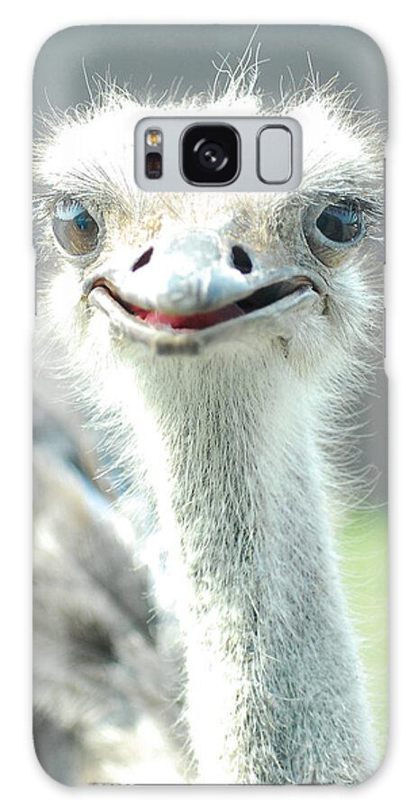 Ostrich Galaxy Case featuring the photograph Ostrich Grin by Steve Somerville