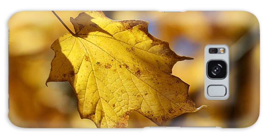 Leaf Tree Fall Autumn Yellow Color Colors Galaxy Case featuring the photograph Out of Many  One 2440 by Ken DePue