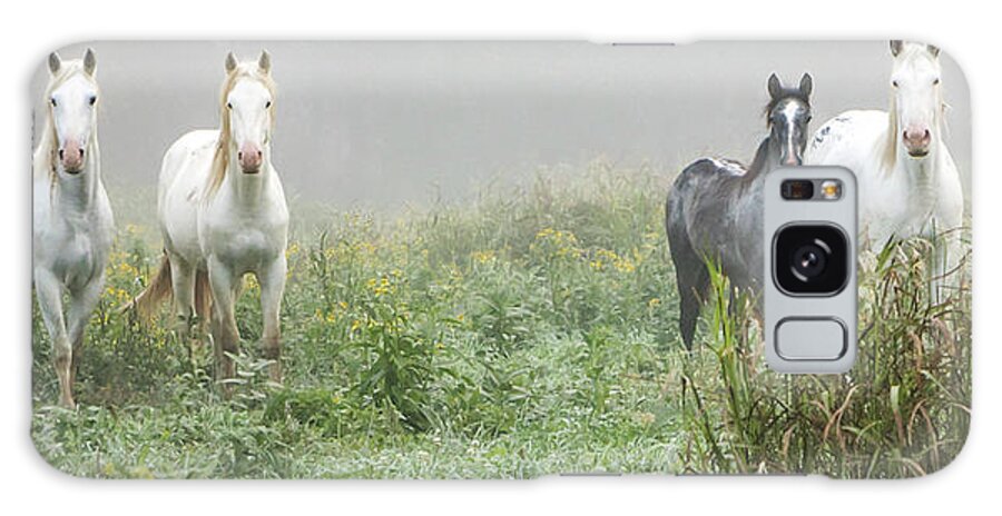 Wild Horses Galaxy Case featuring the photograph Out of the Mist, 2 by Holly Ross