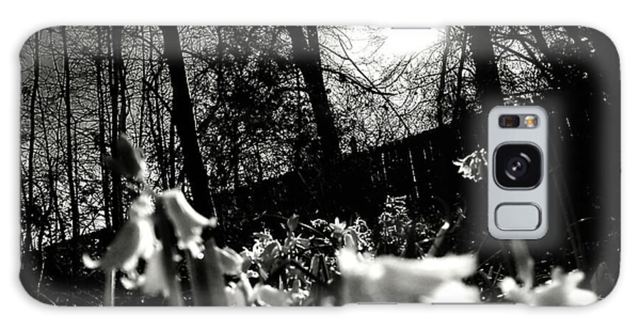 Landscape Galaxy Case featuring the photograph Over The Fence in Black and White by Morgan Carter