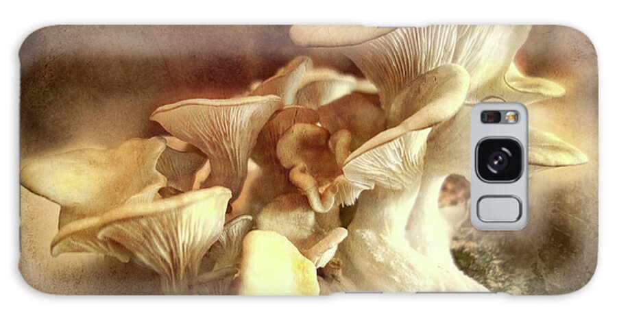 Mushrooms Galaxy Case featuring the digital art Oyster Mushrooms by Cindy Collier Harris