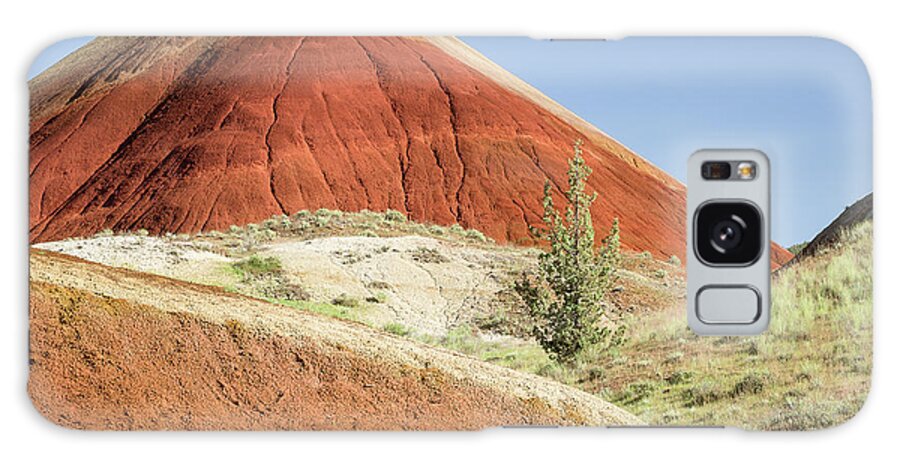 The Painted Hills Galaxy Case featuring the photograph Painted Tree Closeup by Tim Newton