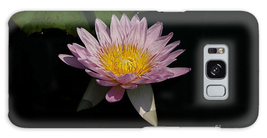 Pale Galaxy Case featuring the photograph Pale Purple Lotus Waterlily by Jackie Irwin