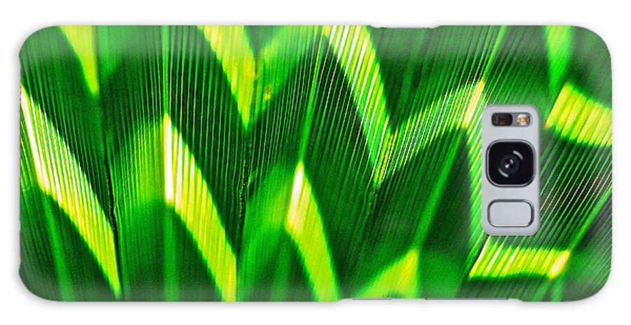 Palm Leaf Galaxy S8 Case featuring the photograph Palm Abstract by Michael Cinnamond