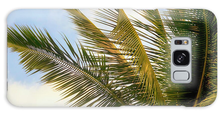 Palm Tree Galaxy Case featuring the photograph Palm Branches by Christopher Johnson