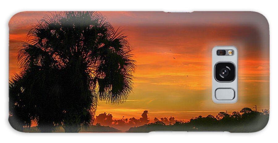 Palm Galaxy Case featuring the photograph Palm Silhouette Sunrise by Tom Claud