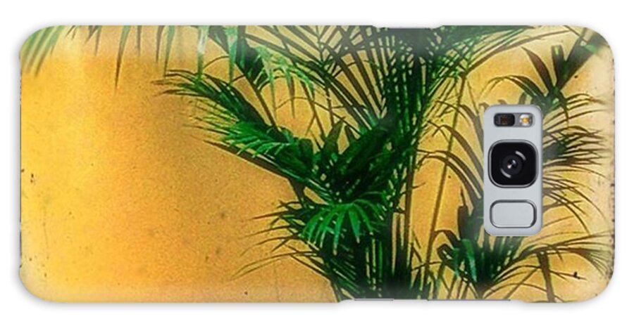 Shadows Galaxy Case featuring the photograph #palm #tree #grass #display #decoration by Sam Stratton