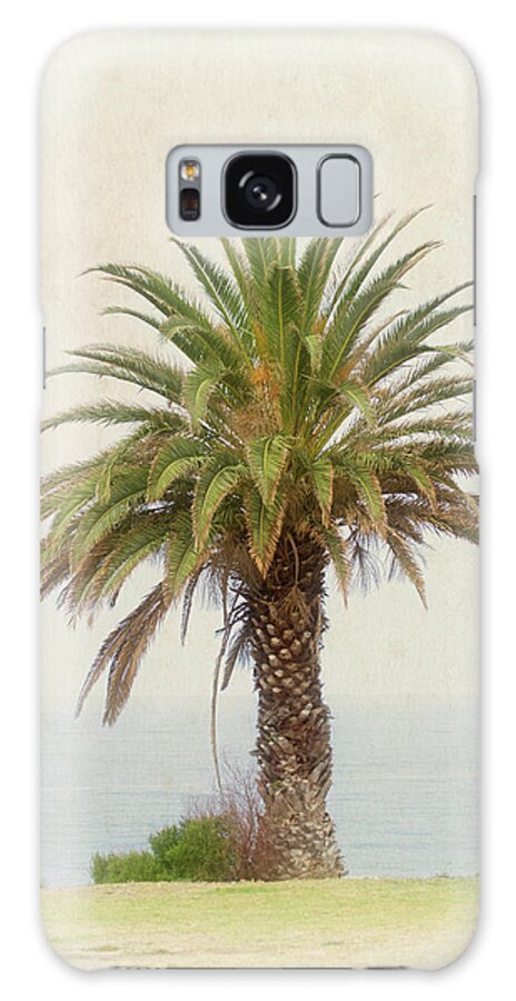 Palm Tree Galaxy Case featuring the photograph Palm Tree in Coastal California in a Retro Style by Anthony Murphy