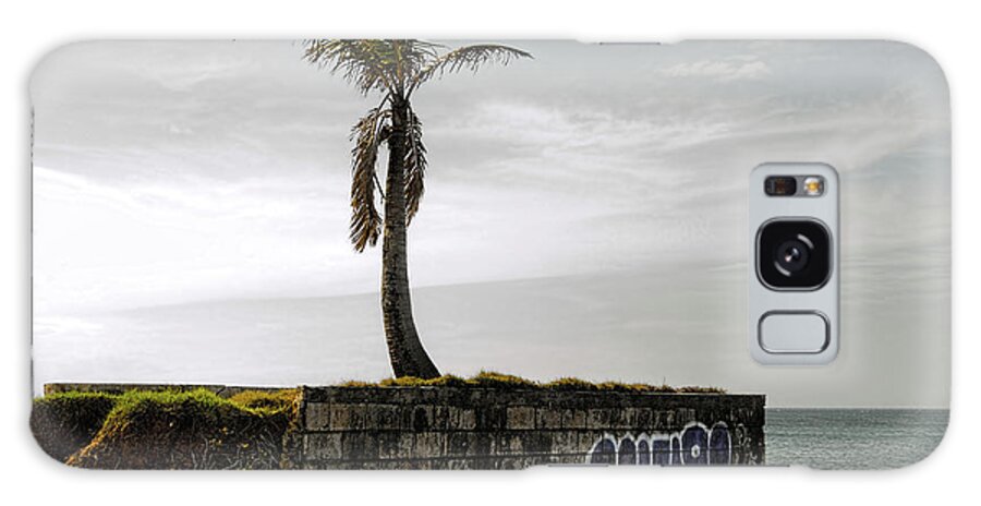 Tree Galaxy Case featuring the photograph Palm Tree by Kevin Duke