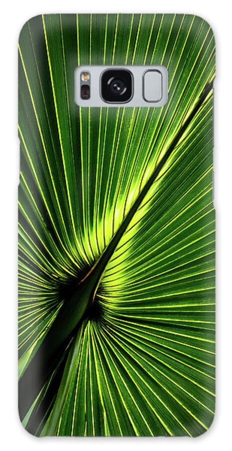 Nature Galaxy Case featuring the photograph Palm Tree with Back-light by Robert Mitchell