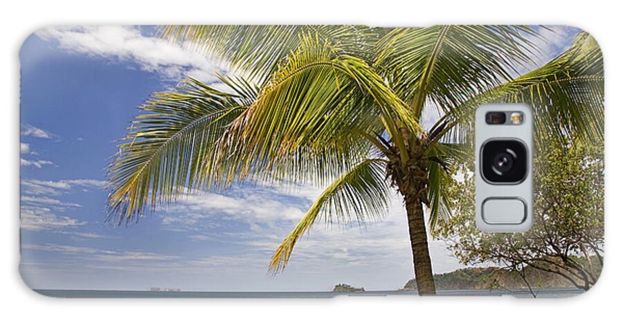 00429557 Galaxy Case featuring the photograph Palm Trees Line Penca Beach Costa Rica by Tim Fitzharris