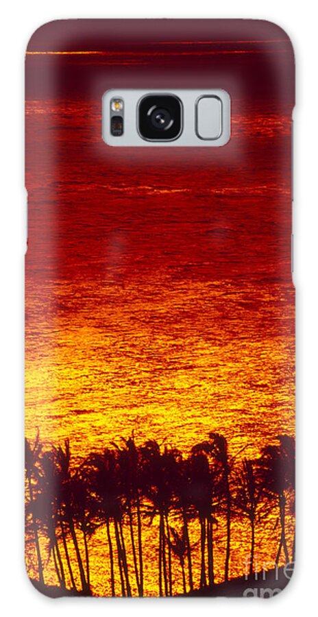 Bright Galaxy Case featuring the photograph Palms And Reflections by Ron Dahlquist - Printscapes
