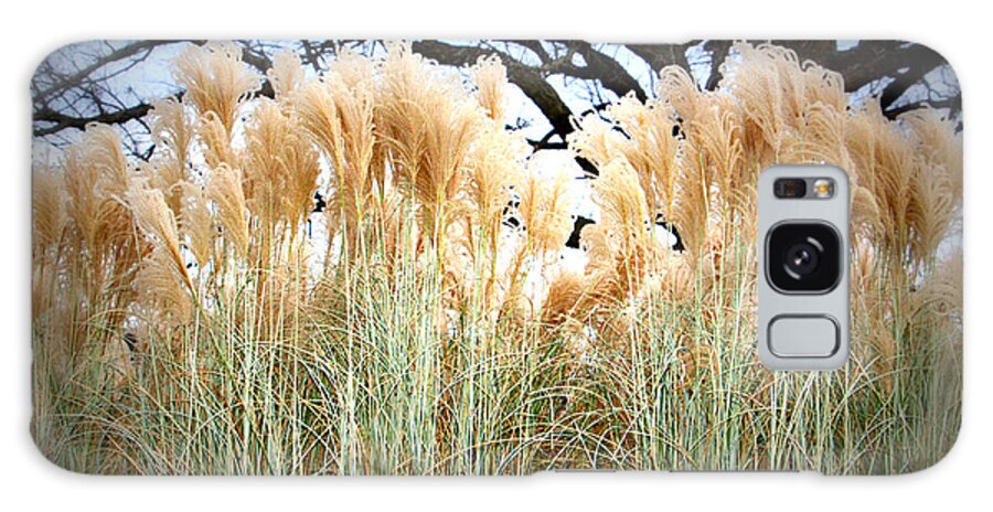 Pampas Grass And Tree Galaxy Case featuring the photograph Pampas Grass And Tree by Kathy M Krause