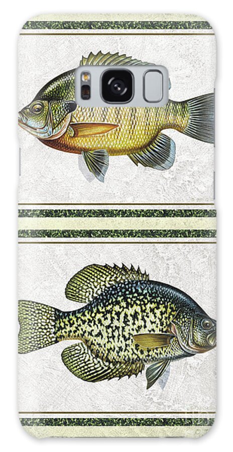 Jon Q Wright Crappie Bluegill Sunfish Id Fishing Fish Poster Print Lake Galaxy Case featuring the painting Panfish ID by Jon Q Wright