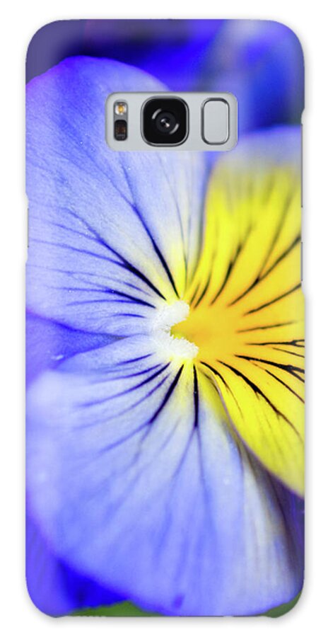 Pansy Galaxy Case featuring the photograph Pansy Close-up Square by Lisa Blake