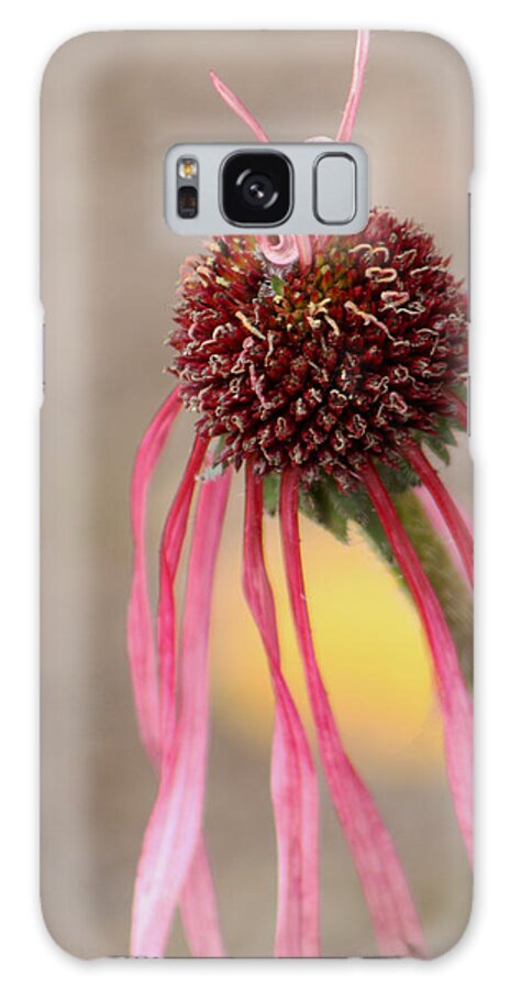 Flower Galaxy Case featuring the photograph Pastel Perfection by Deborah Crew-Johnson