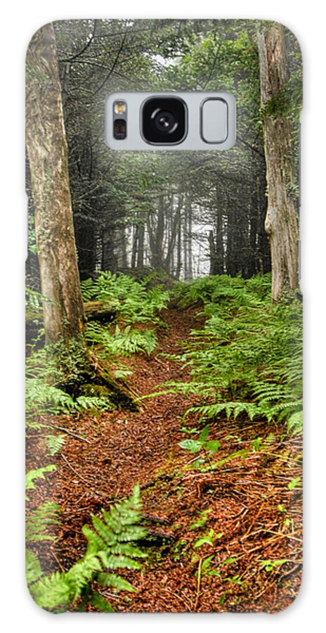 Landscape Galaxy Case featuring the photograph Path in the Ferns by Joye Ardyn Durham