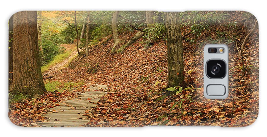 Landscape Galaxy Case featuring the photograph Path to Autumn by Travis Rogers