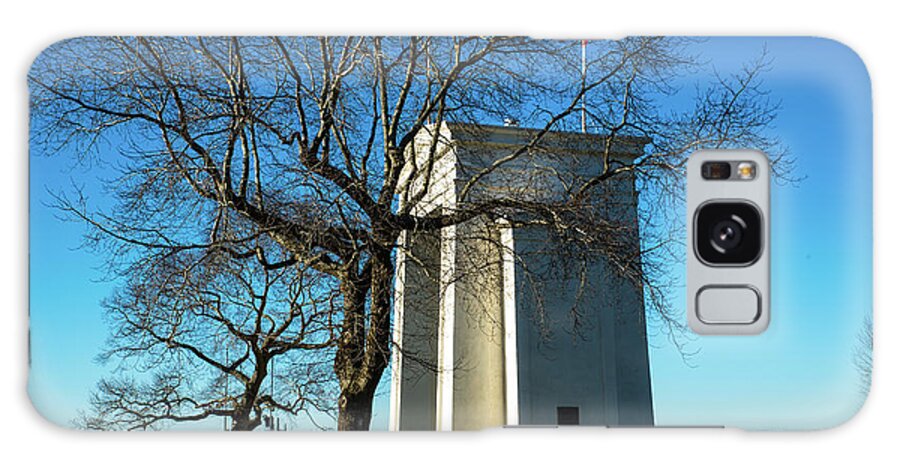 Peace Arch And January Trees Galaxy Case featuring the photograph Peace Arch and January Trees by Tom Cochran