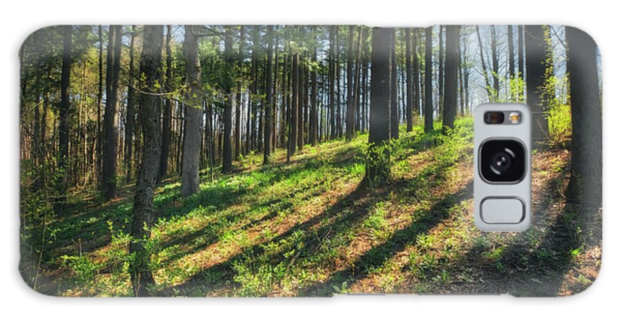 Wisconsin Landscape Galaxy Case featuring the photograph Peaceful Forest 4 - Spring at Retzer Nature Center by Jennifer Rondinelli Reilly - Fine Art Photography