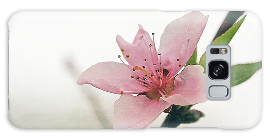Cindi Ressler Galaxy Case featuring the photograph Peach Blossom by Cindi Ressler
