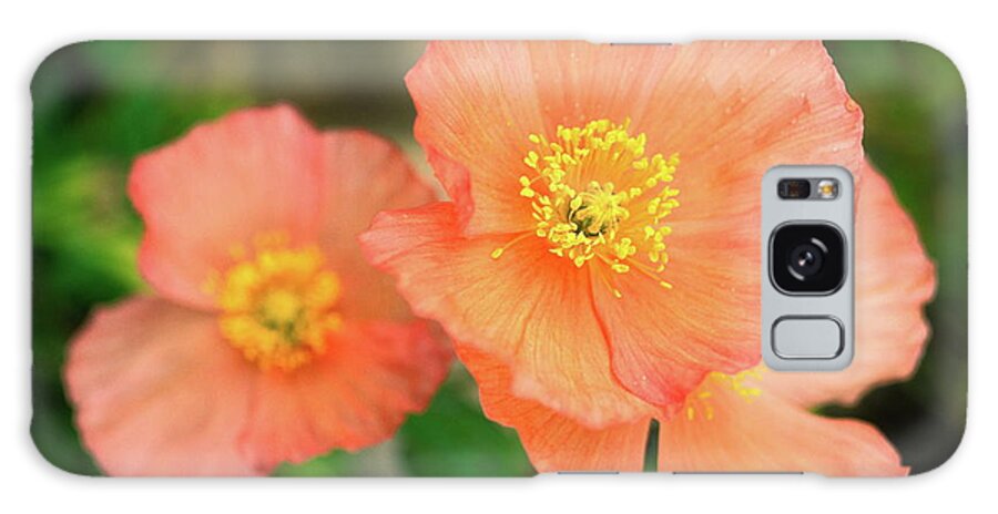 Peach Poppies Galaxy Case featuring the photograph Peach Poppies by Sally Weigand