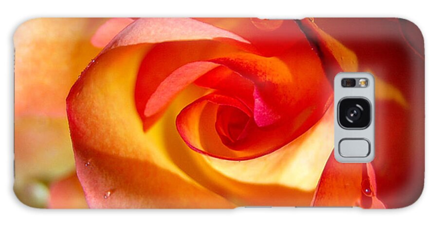 Rose Galaxy Case featuring the photograph Peach Rose by Amy Fose