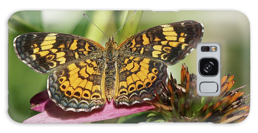Pearl Crescent Butterfly Galaxy Case featuring the photograph Pearl Crescent Butterfly on Coneflower by Robert E Alter Reflections of Infinity