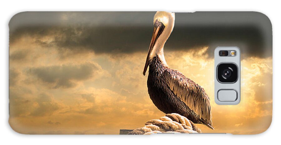 Pelican Galaxy Case featuring the photograph Pelican after a storm by Mal Bray