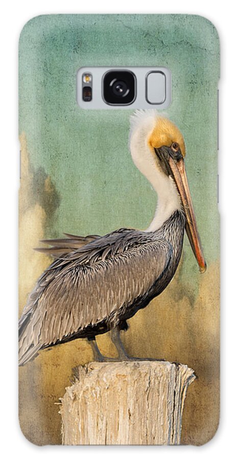 Pelican Galaxy S8 Case featuring the photograph Pelican and Clouds by Don Schiffner
