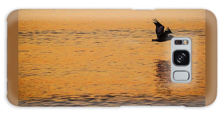 Lorida Galaxy Case featuring the photograph Pelican Glide Delray Beach Florida by Lawrence S Richardson Jr