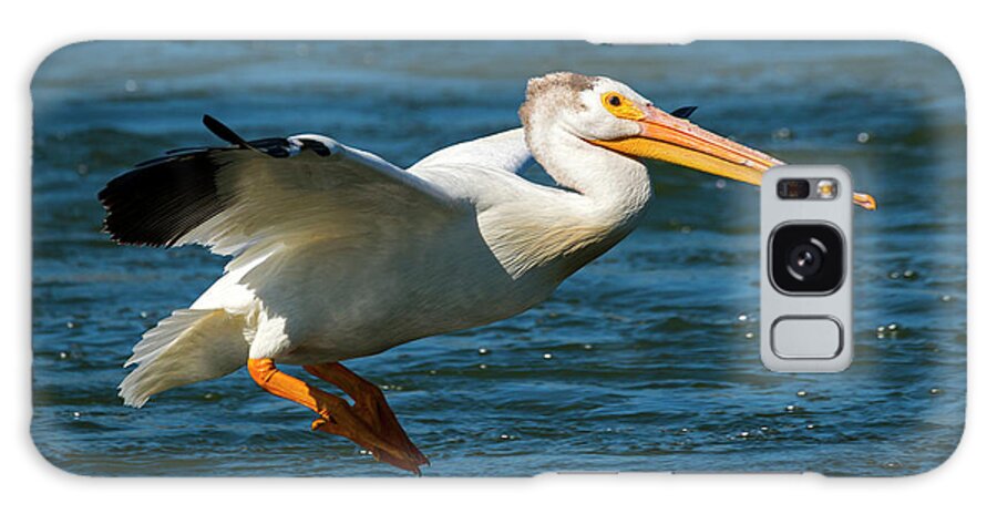 American White Pelican Galaxy Case featuring the photograph Pelican Glide by Michael Dawson