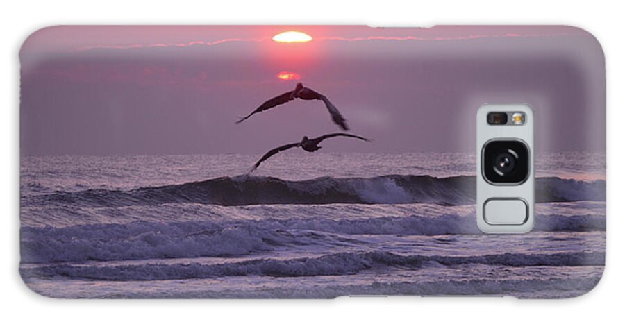 Pelicans Galaxy Case featuring the photograph Pelican Pair by Julianne Felton