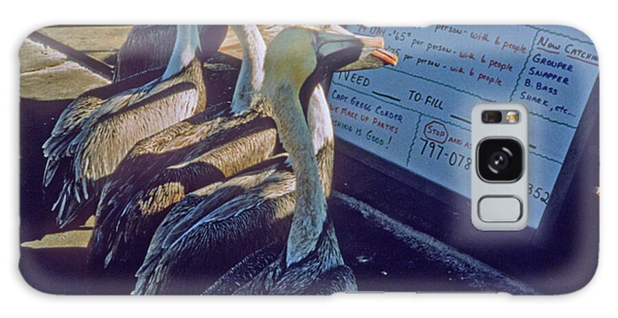 Color Galaxy Case featuring the photograph Pelicans and the Menu by Frank DiMarco