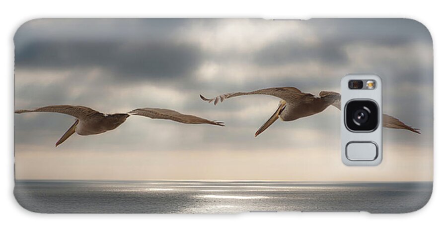 Pelicans Galaxy Case featuring the photograph Pelicans Going Home by Windy Osborn