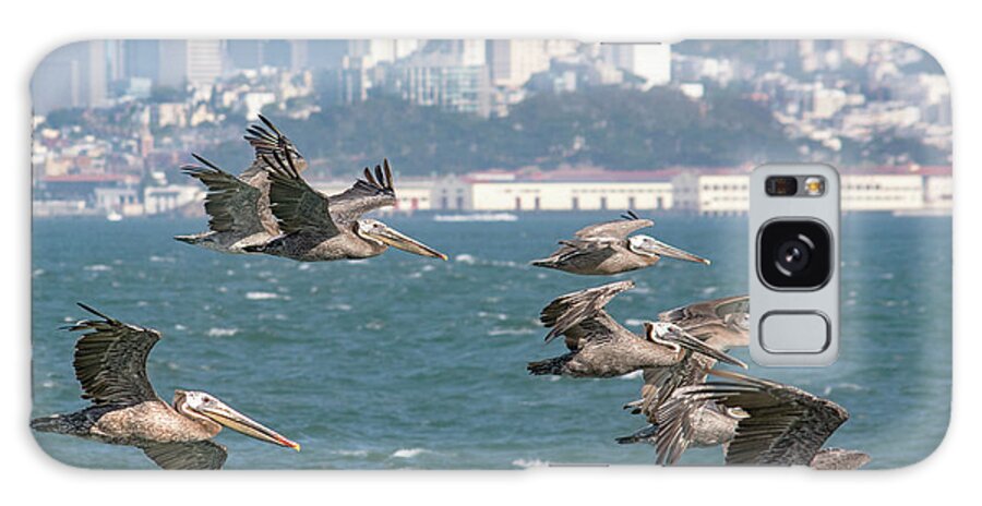 Wildlife Galaxy Case featuring the photograph Pelicans Over San Francisco Bay by Brian Tada