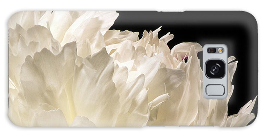 Peony Galaxy Case featuring the photograph Peony by Karen Smale