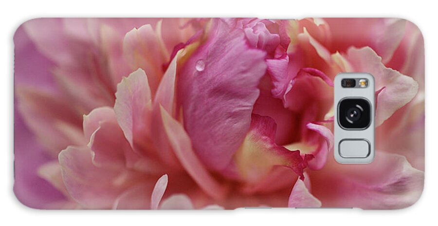 Pink Peony Galaxy Case featuring the photograph Peony Opening by Sandy Keeton