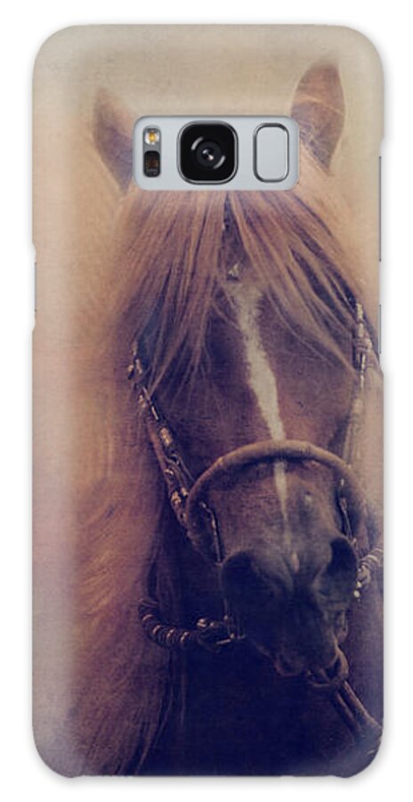 Horse Galaxy Case featuring the photograph Peruvian Horse by Toni Hopper