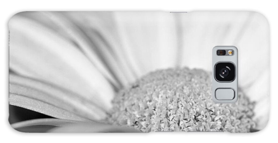 Daisy Galaxy Case featuring the photograph Petals - Black and White by Angela Rath